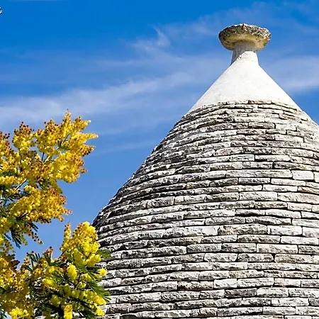 Oda ve Kahvaltı Beb Da Santino Alberobello